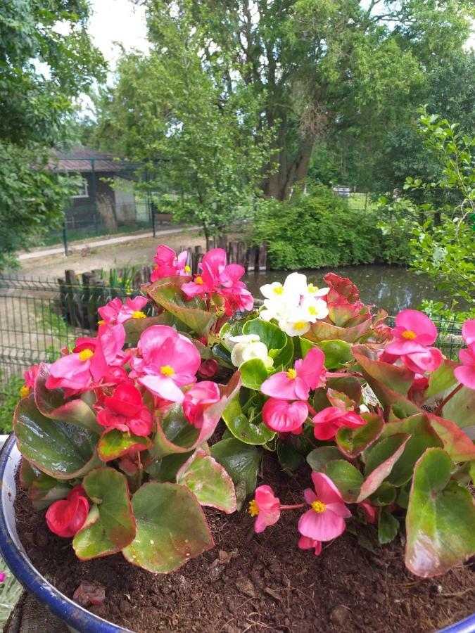 Poezelhoekvallei Loft Holiday home Zonnebeke